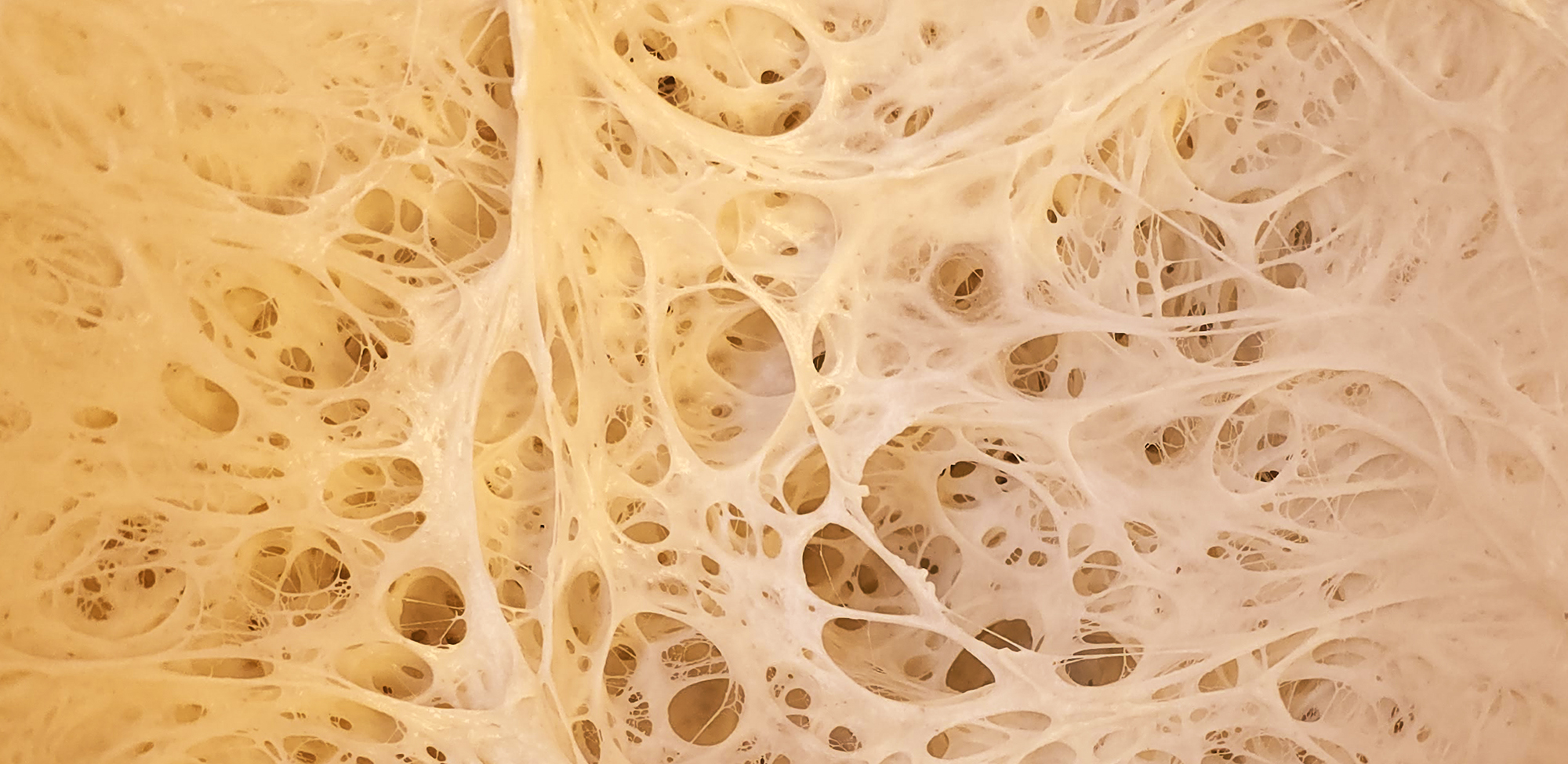 Malha de glutem das massas artesanais da Affinitá pizza.